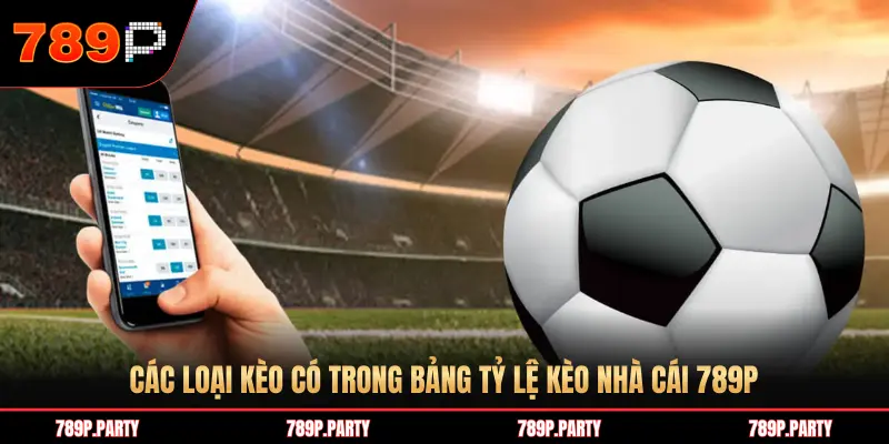 CÁC LOẠI KÈO CÓ TRONG BẢNG TỶ LỆ KÈO NHÀ CÁI 789P