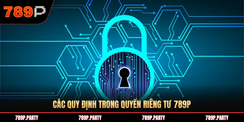 CÁC QUY ĐỊNH TRONG QUYỀN RIÊNG TƯ 789P