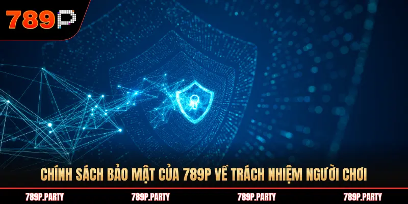 CHÍNH SÁCH BẢO MẬT CỦA 789P VỀ TRÁCH NHIỆM NGƯỜI CHƠI