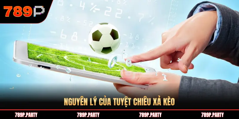 NGUYÊN LÝ CỦA TUYỆT CHIÊU XẢ KÈO